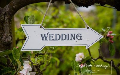 Working with Amazing Wedding Suppliers