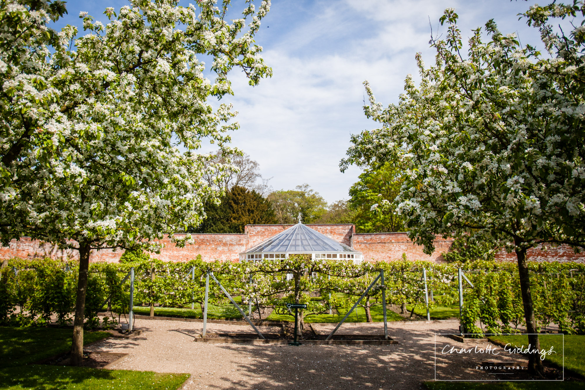 glasshouse house combermere abbey amongst the blossom