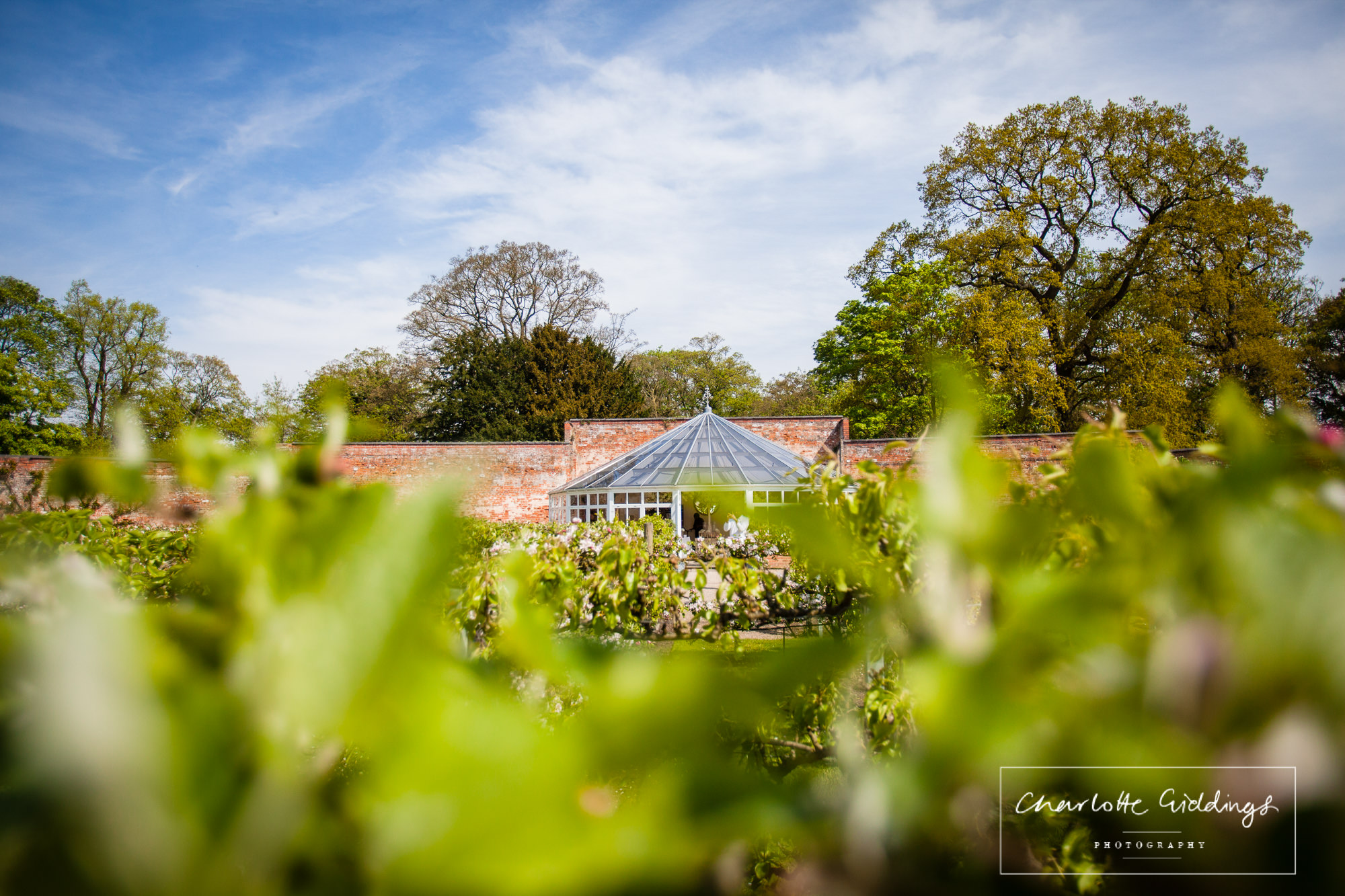 combermere abbey recommended photographer - charlotte giddings photography