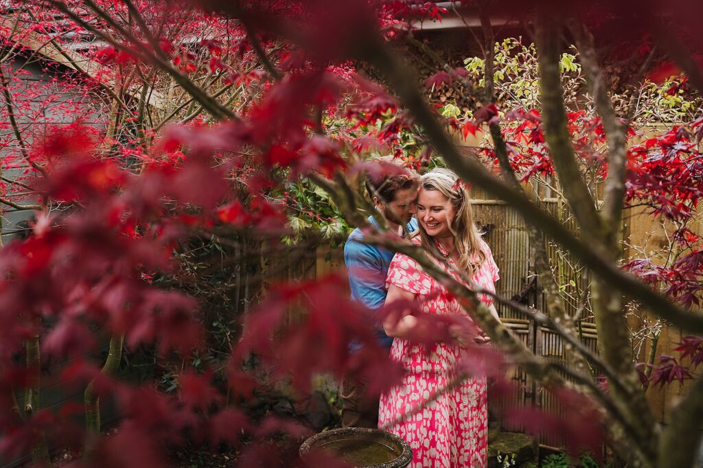 Bride and Groom to be nuzzled into each other amongst a beautiful red acer tree in the garden // Shropshire Pre Wedding Shoot