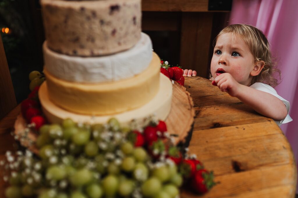 Little flower girl looking up to the cheese wedding cake and looking to reach a strawberry at Tower Hill Barns // Welsh Wedding Photographer